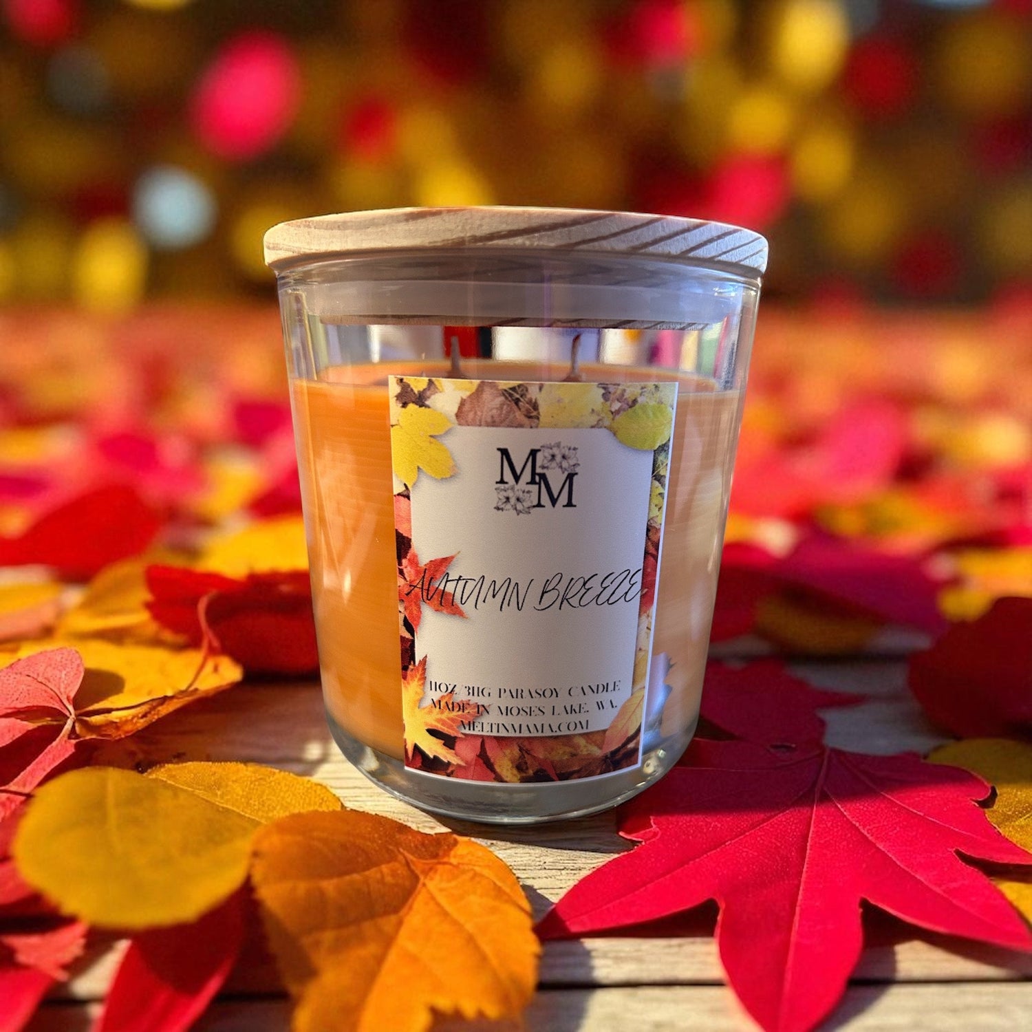 FALL FAVORITES
